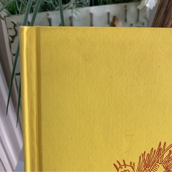 1975 Animals Should Definitely not wear Clothes by Judy Barrett Book - Picture 4 of 14